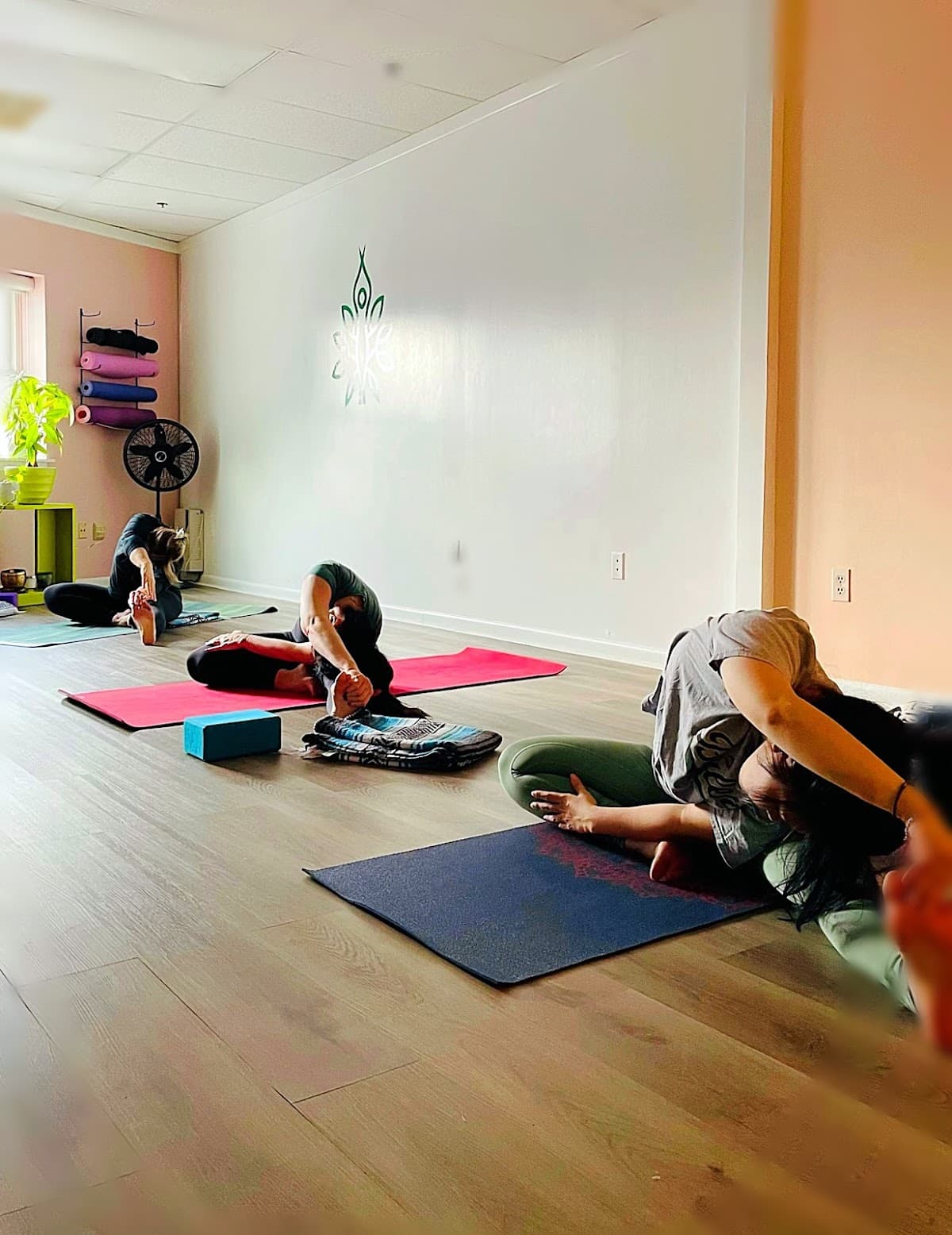 Energy Flow Yoga Studio 1