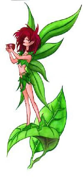 MorningStar Herbals and Holistic Healing logo