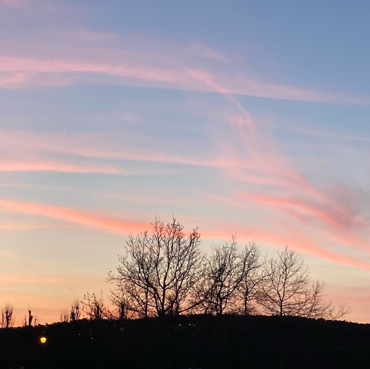 Meditation Wimbledon