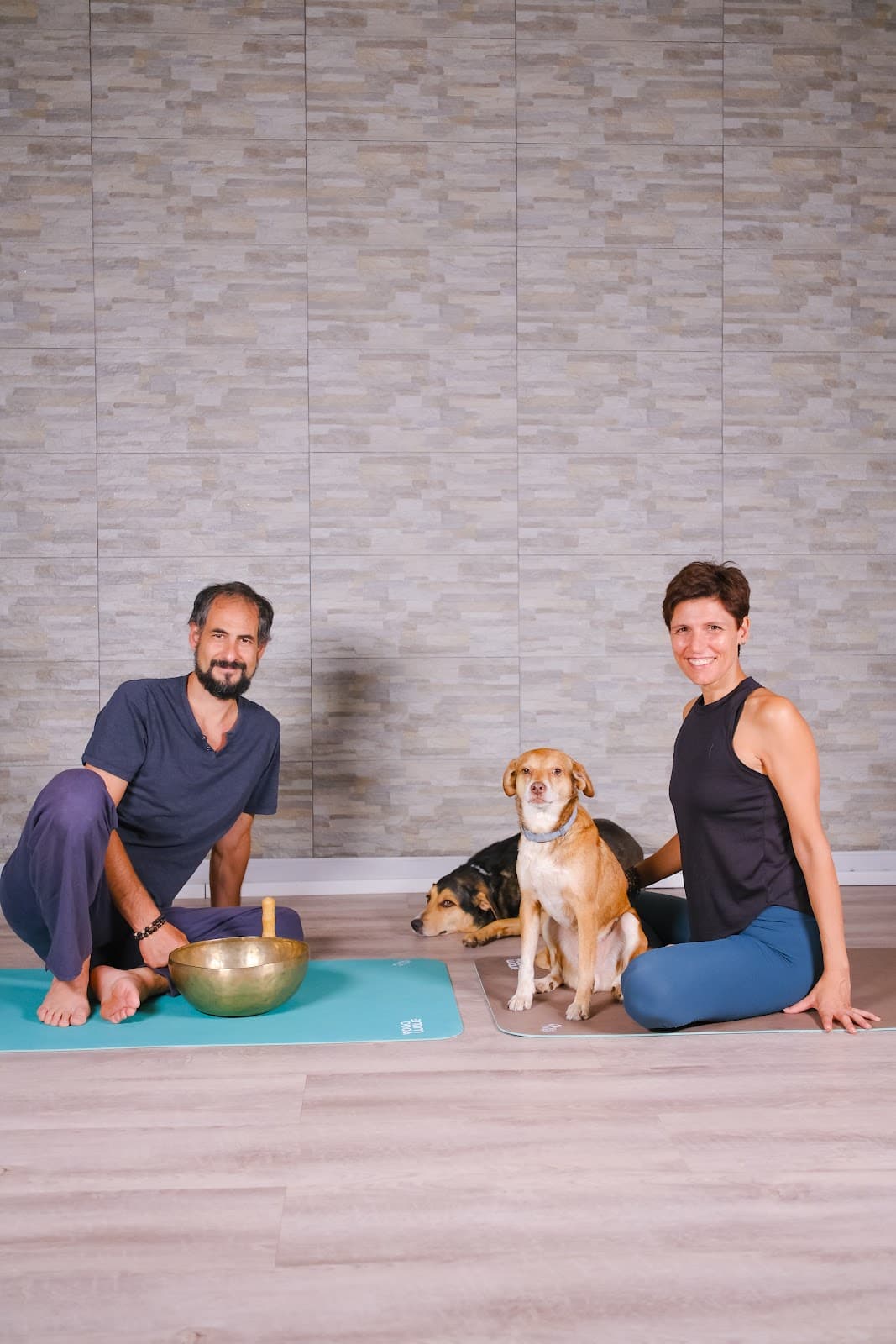 Yoga Wave Studio logo