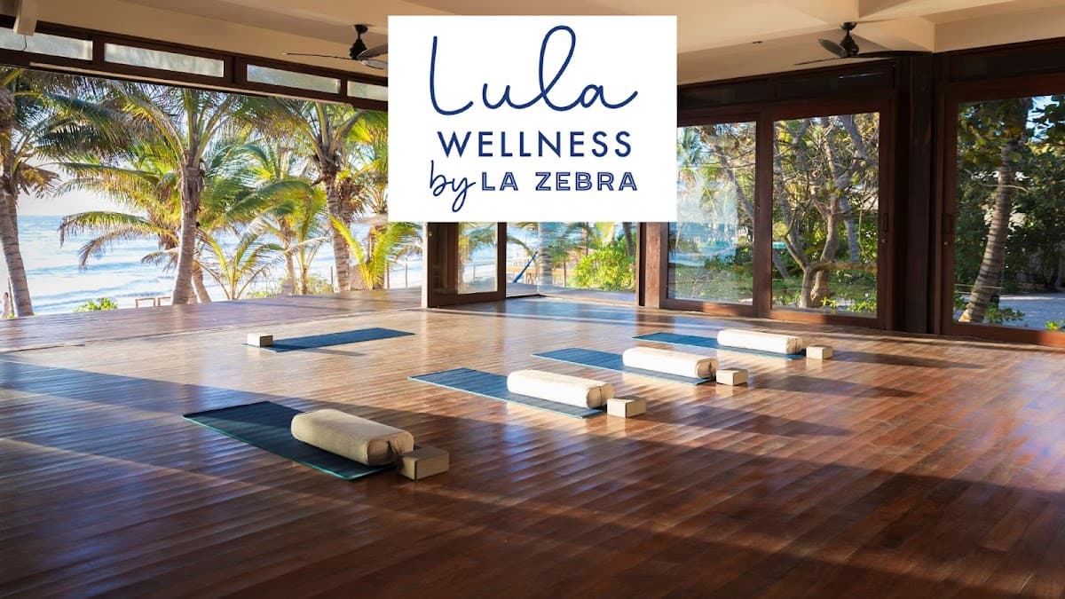 Lula Wellness by La Zebra logo
