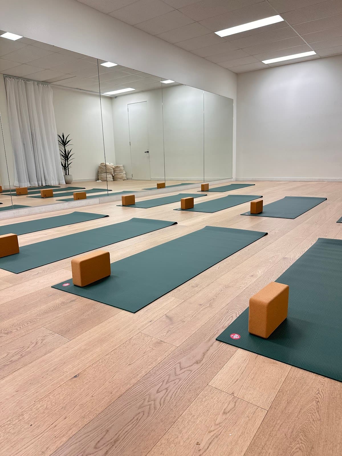 The Pause Club Yoga Studio