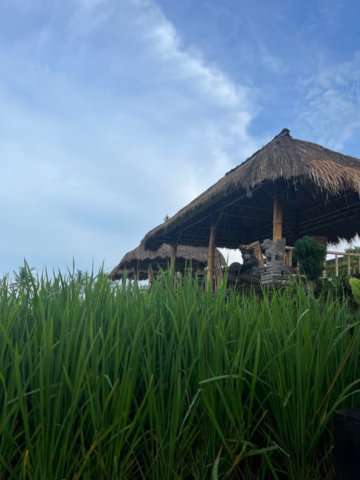 One Fit Wellness Bali