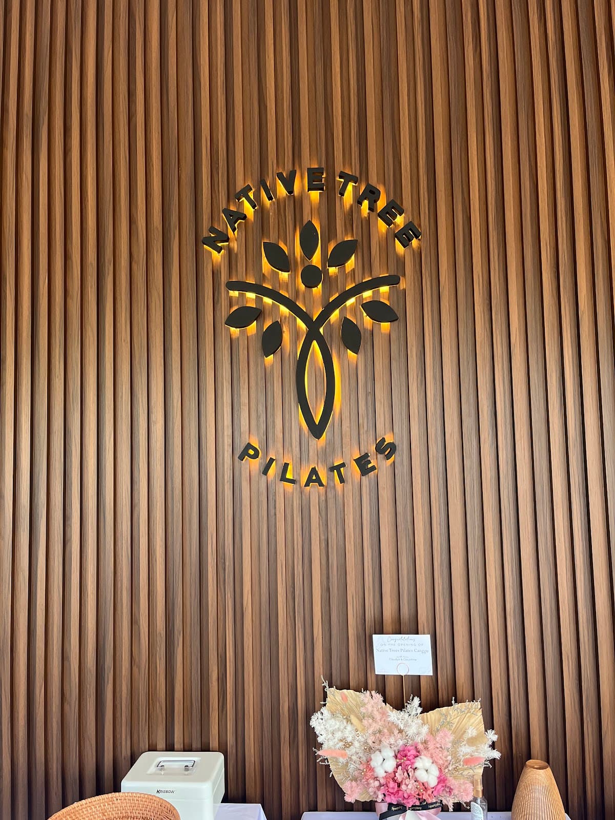 Native Tree Pilates Canggu logo