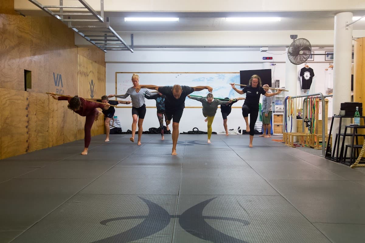 Holistic Pro Health Performance Studio