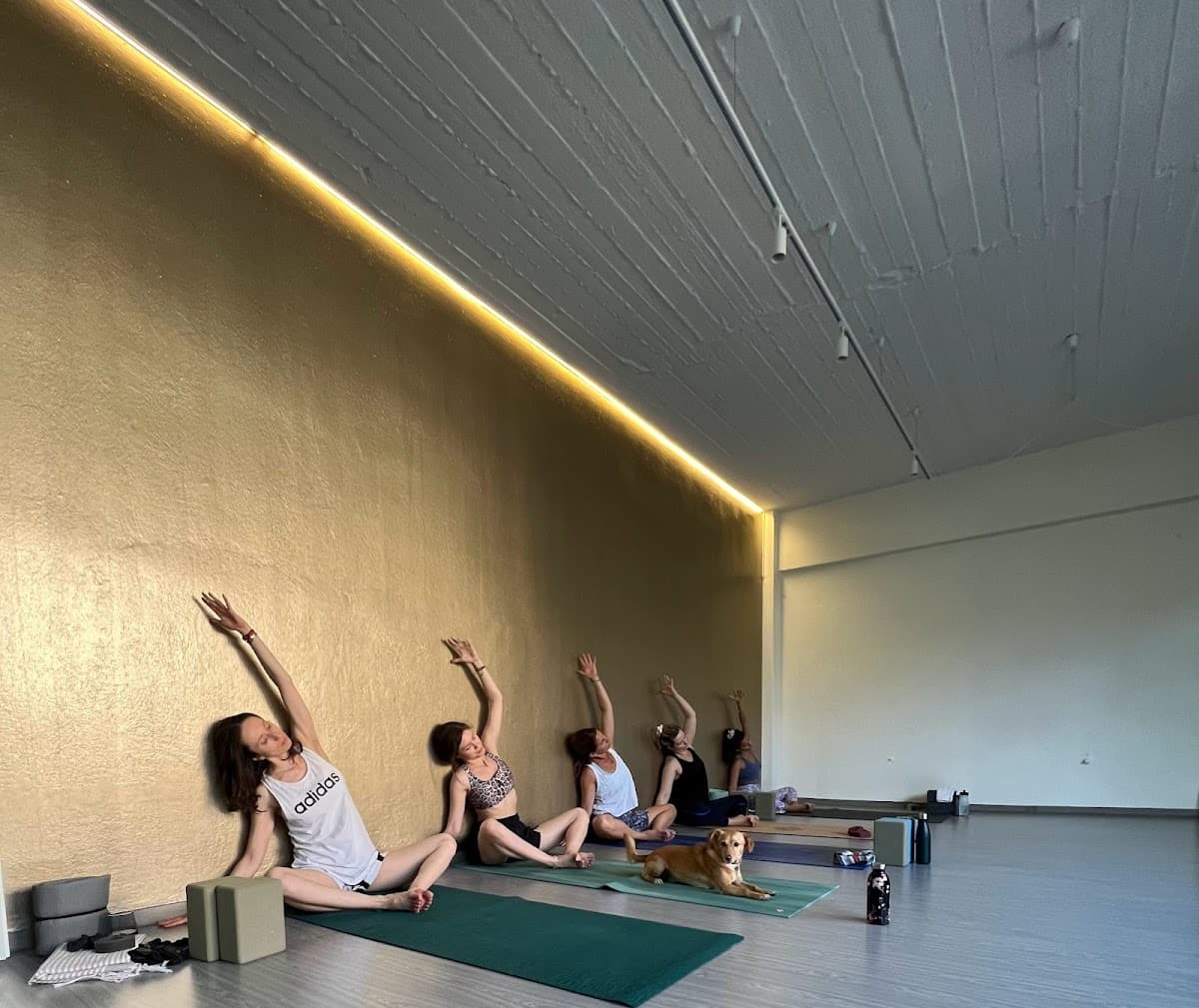 Nama Yoga Studio