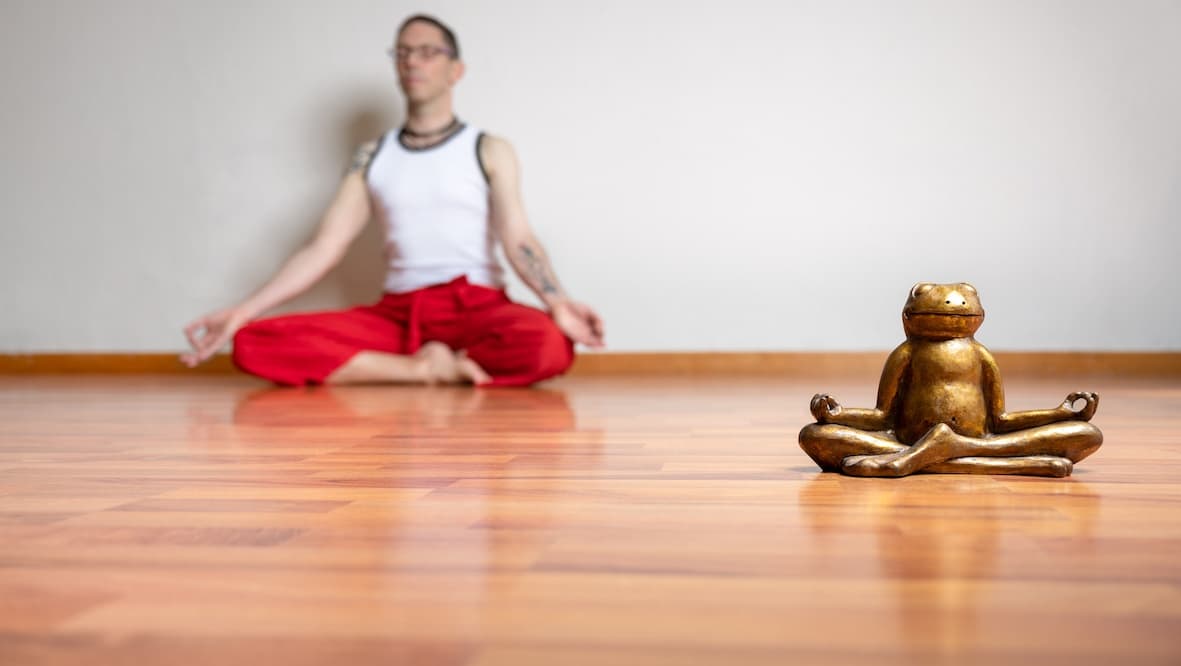 DitoFlow-Pilates Yoga Terapias BCN logo