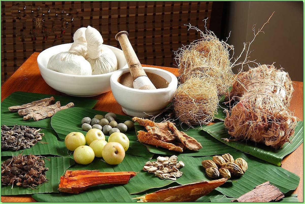 Healing Sparsh Kerala Ayurveda & Holistic Health
