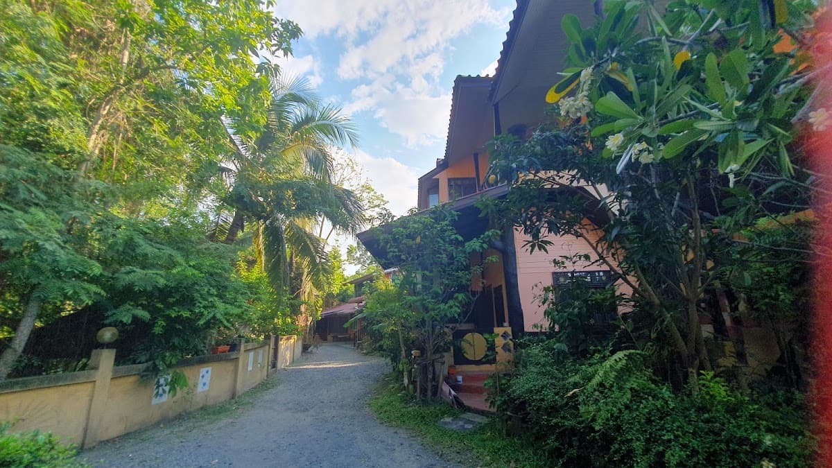 Flow Yoga Chiang Mai