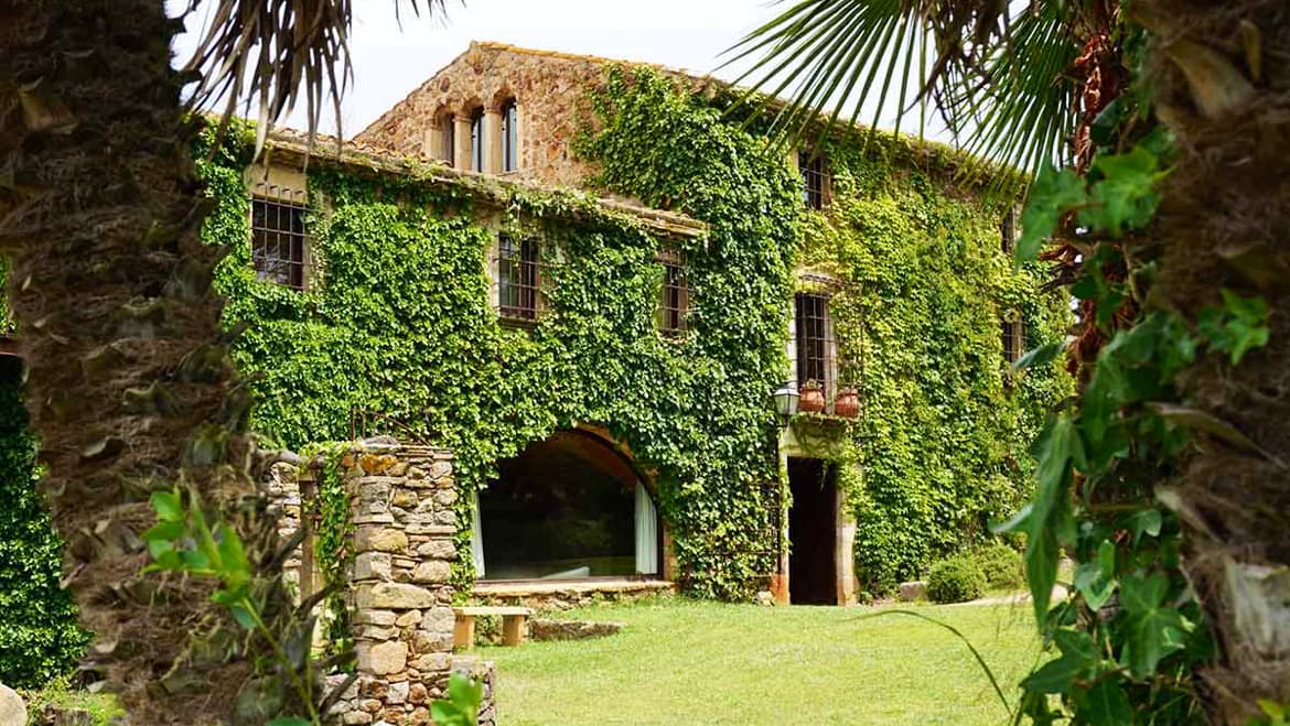 Avalon | Holistic Ayahuasca Retreats