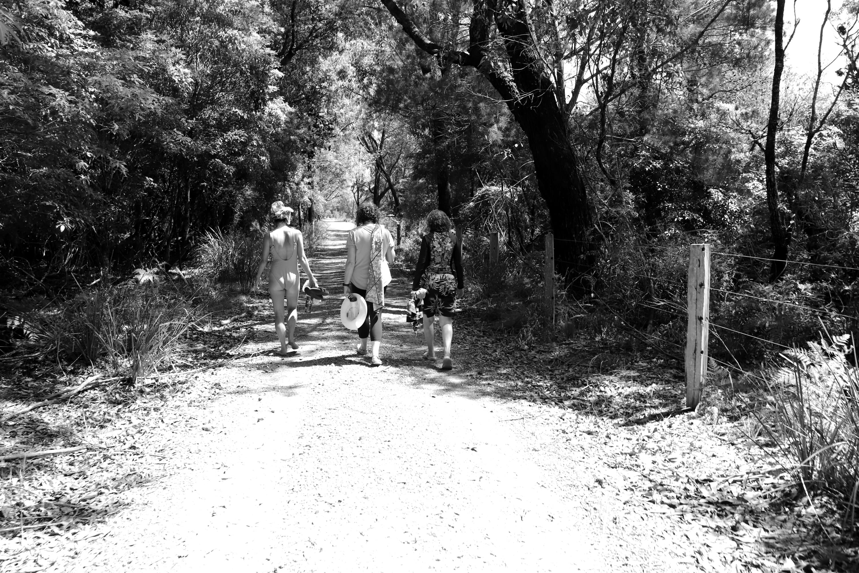 Nature's Medicine Coastal Retreat