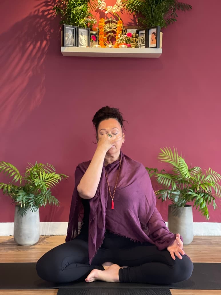 Pranayama Teacher Training 1