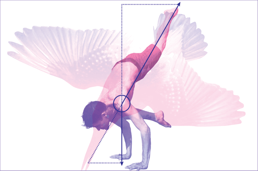 Flight Lab: An Exploration into Arm Balances