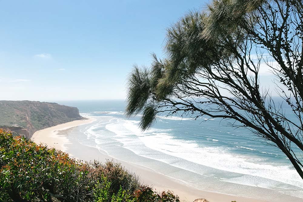 Guided Surf Coast Nature Walks
