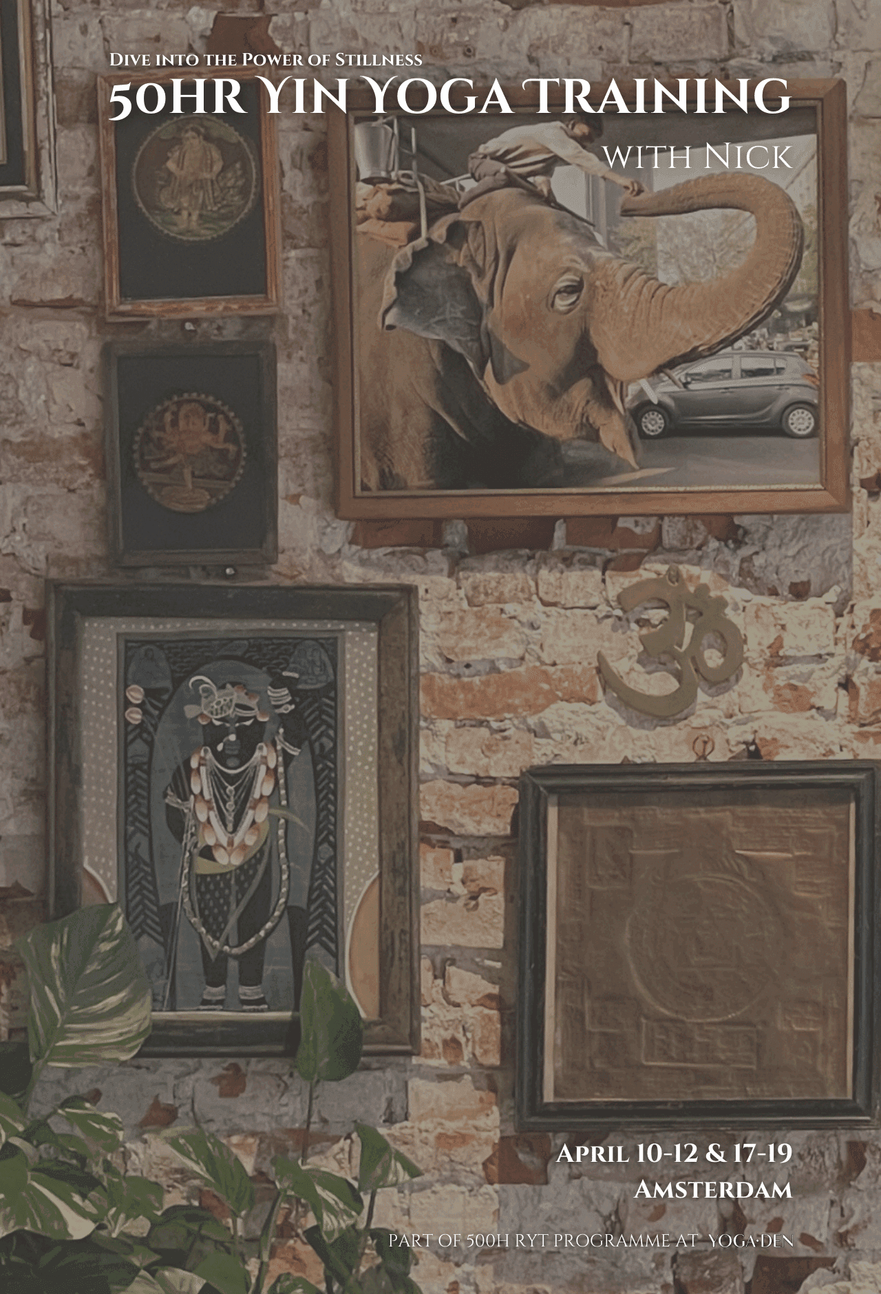 50h Yin Yoga Teacher Training 1