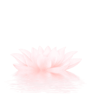 Teach Meditation: Change the World - Teacher's Training