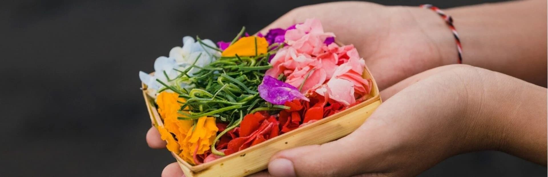 50 Hour Philosophy Yoga Teacher Training in Bali