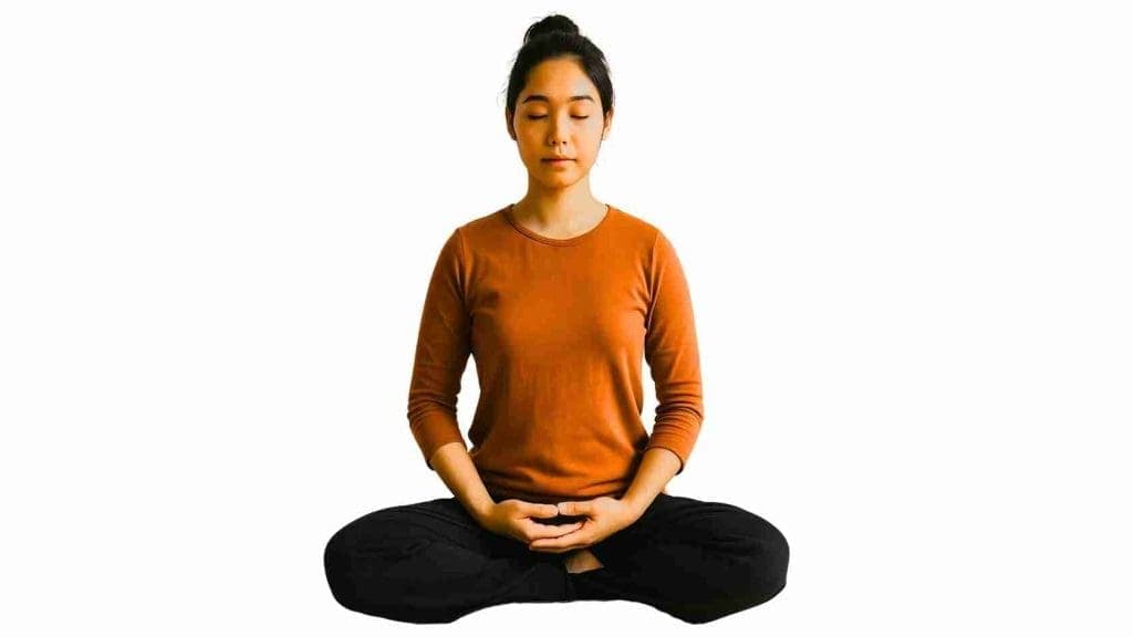 Introducció gratuïta a la meditació zen 1