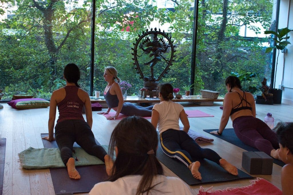 300-Hour Advanced Teacher Training 1