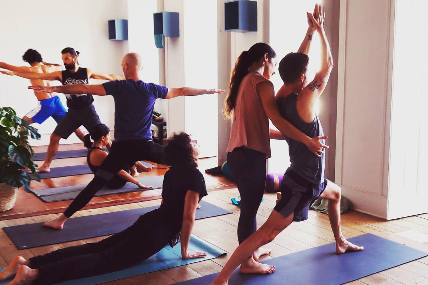 Ashtanga Vinyasa Yoga Teacher Training 2026 1