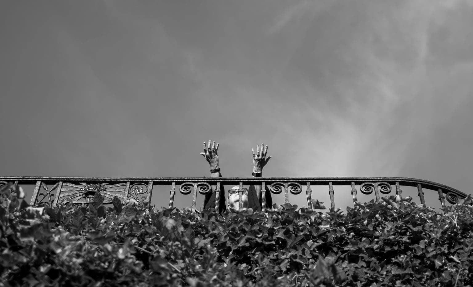 Women's Council | Online Only