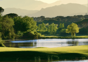 Executive Wellness Clinic Retreat 1