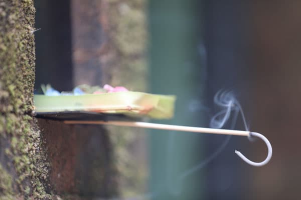 Ashtanga yoga holiday in Bali 2026 1