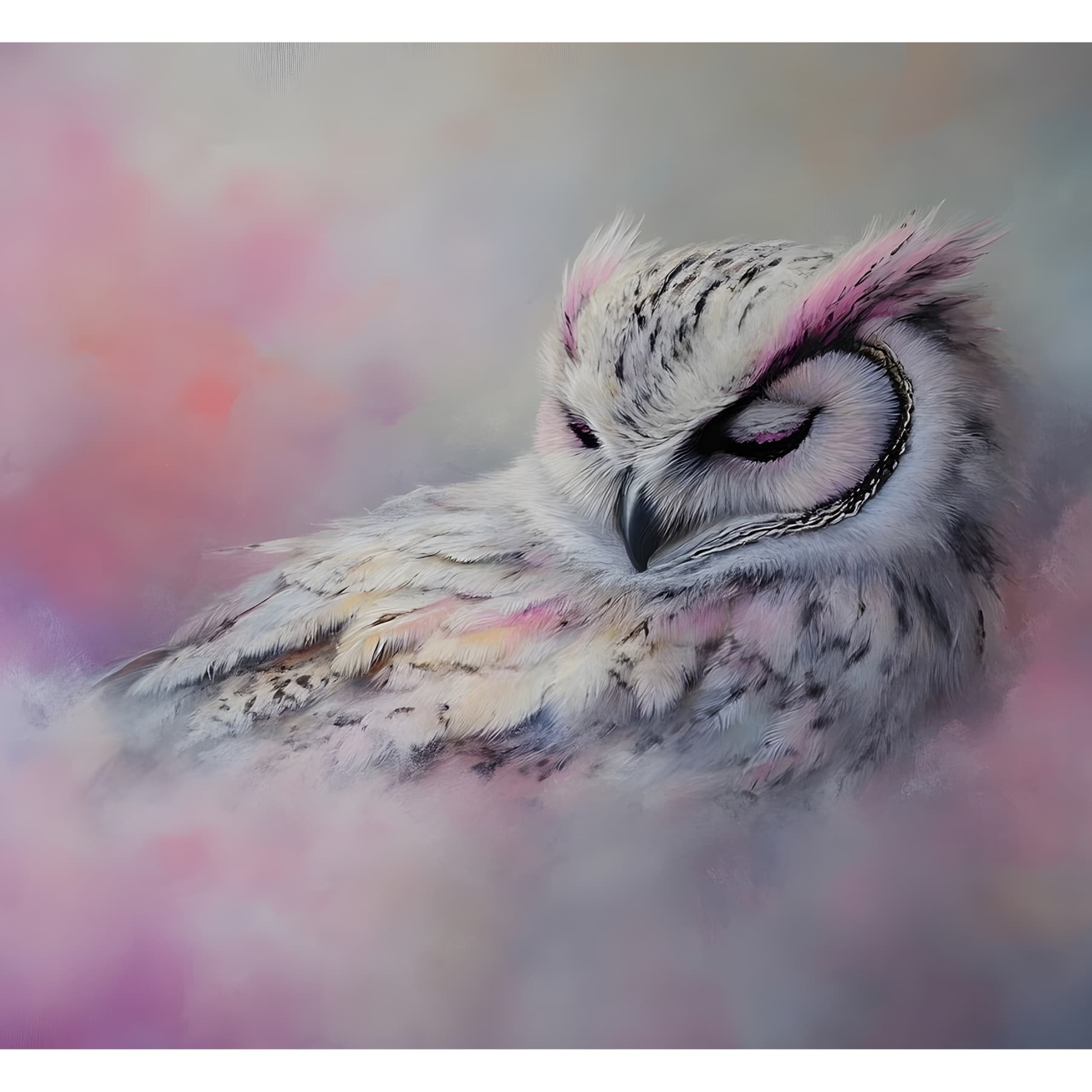 Free Yoga and Meditation on Insight Timer