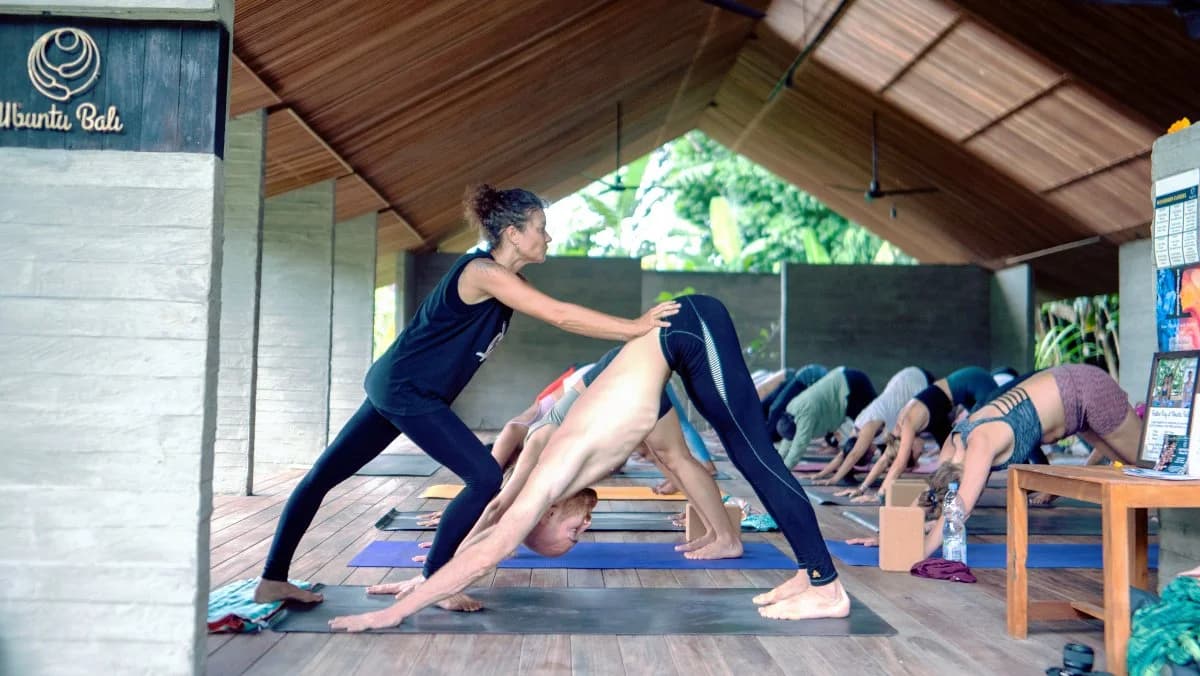 Vinyasa Krama Yoga Classes 1