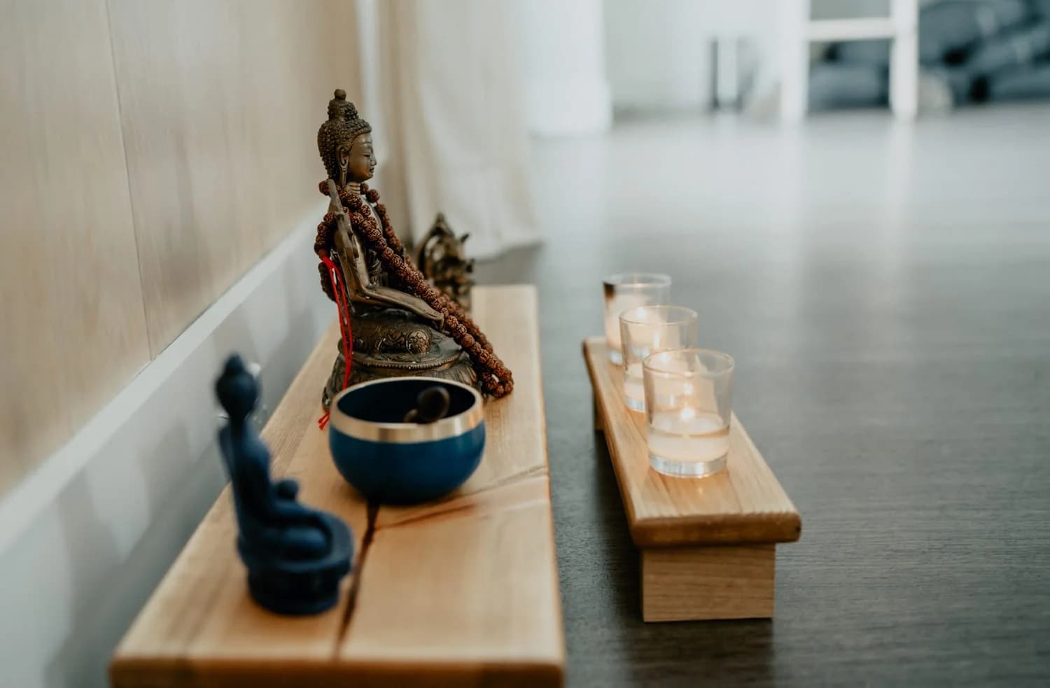 Meditation Level 1 with Susan Layden & Gina Norman 1