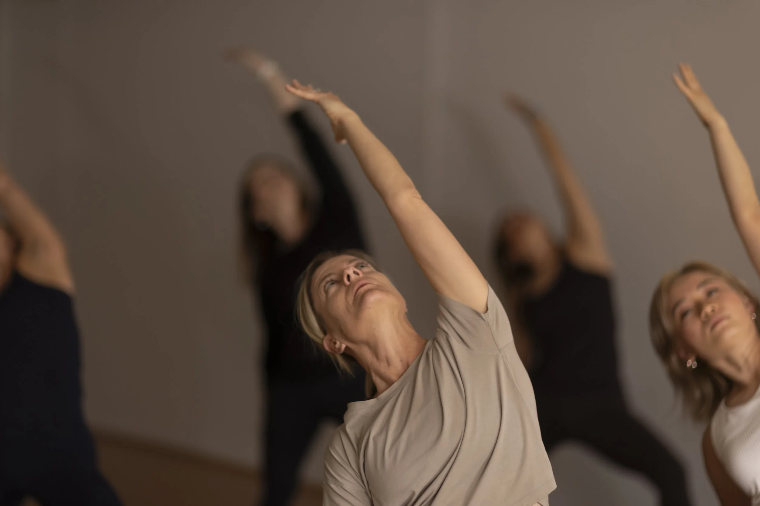 4-Week Introductory Pass 1