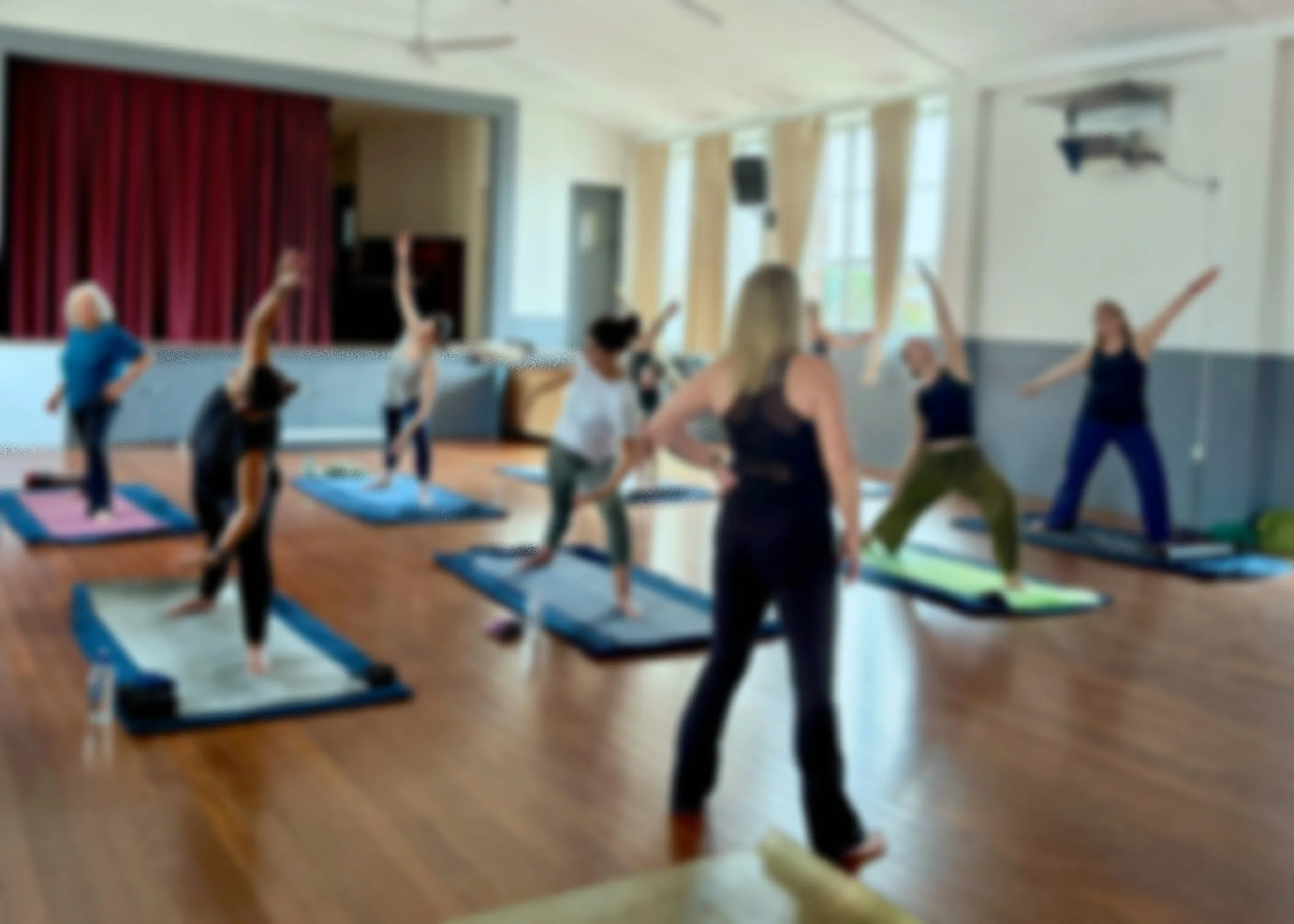 200+ hr Masters Meridian Yoga Teacher Training 1