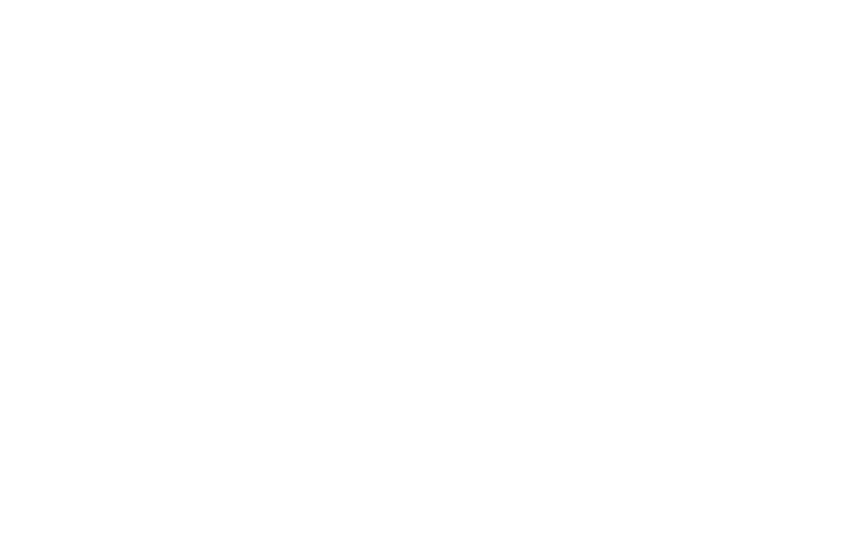 Annex Pilates logo