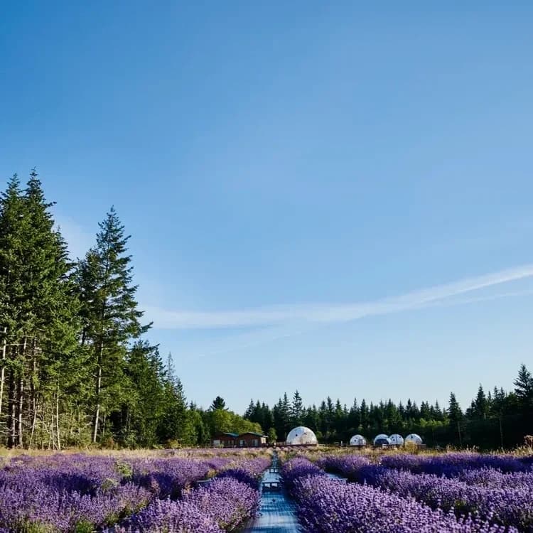 8 Day Farm Stay Retreat in British Columbia 1