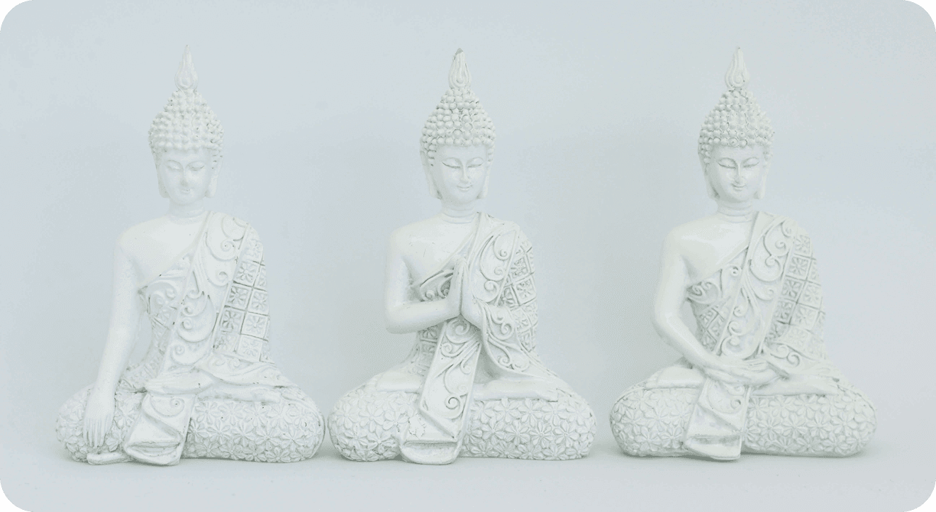 Meditation Facilitator Training 1