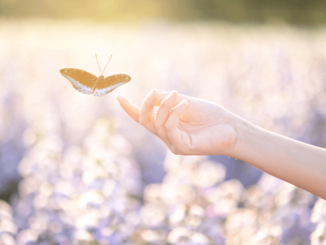 Raja Yoga Meditation Course: Awaken to Your Original Peace (In-Person Only) 1