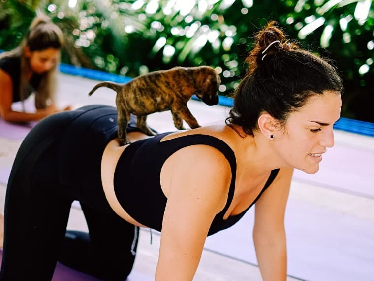 Happy Puppy Yoga Bali - Ubud logo
