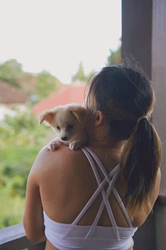 Puppy Yoga Ubud 1