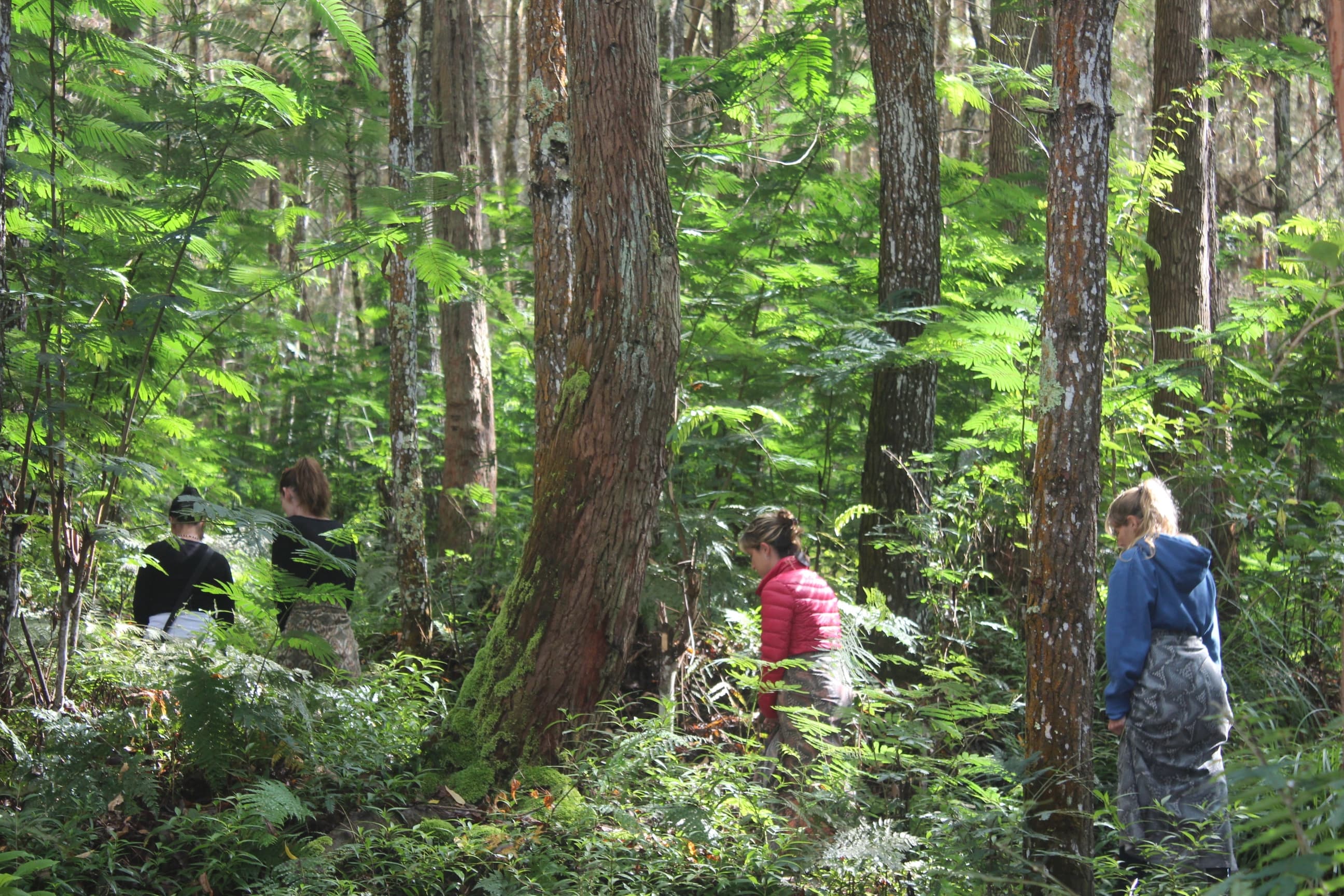 Mindful and Compassionate Nature Walk 1