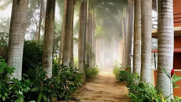 Yoga Dhaama Retreats 1