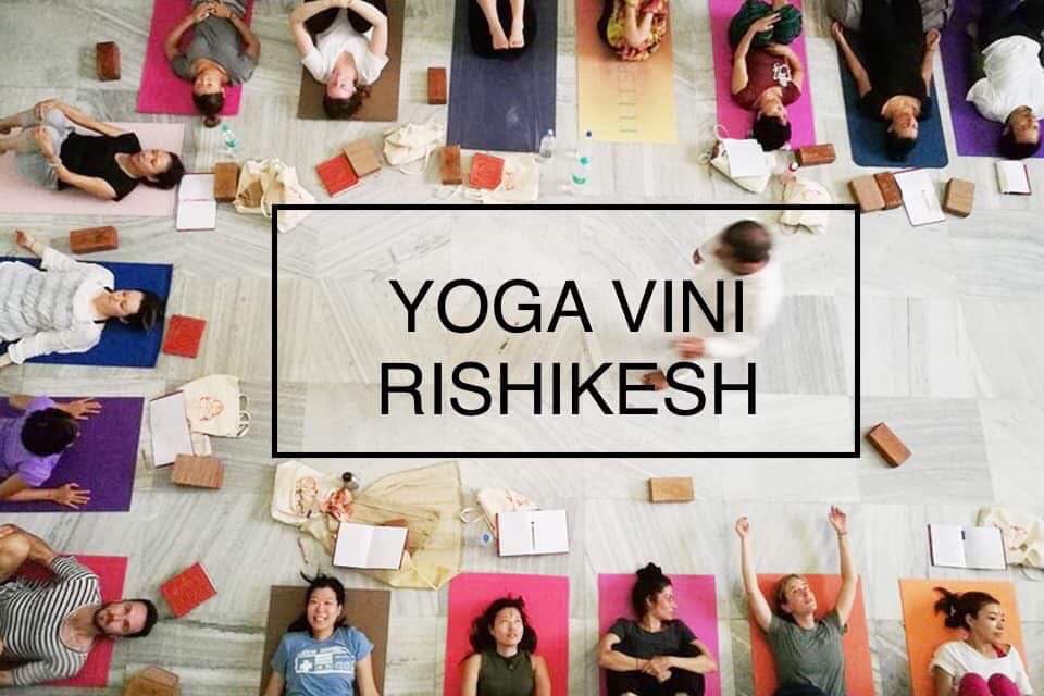 Yoga Vini Rishikesh logo