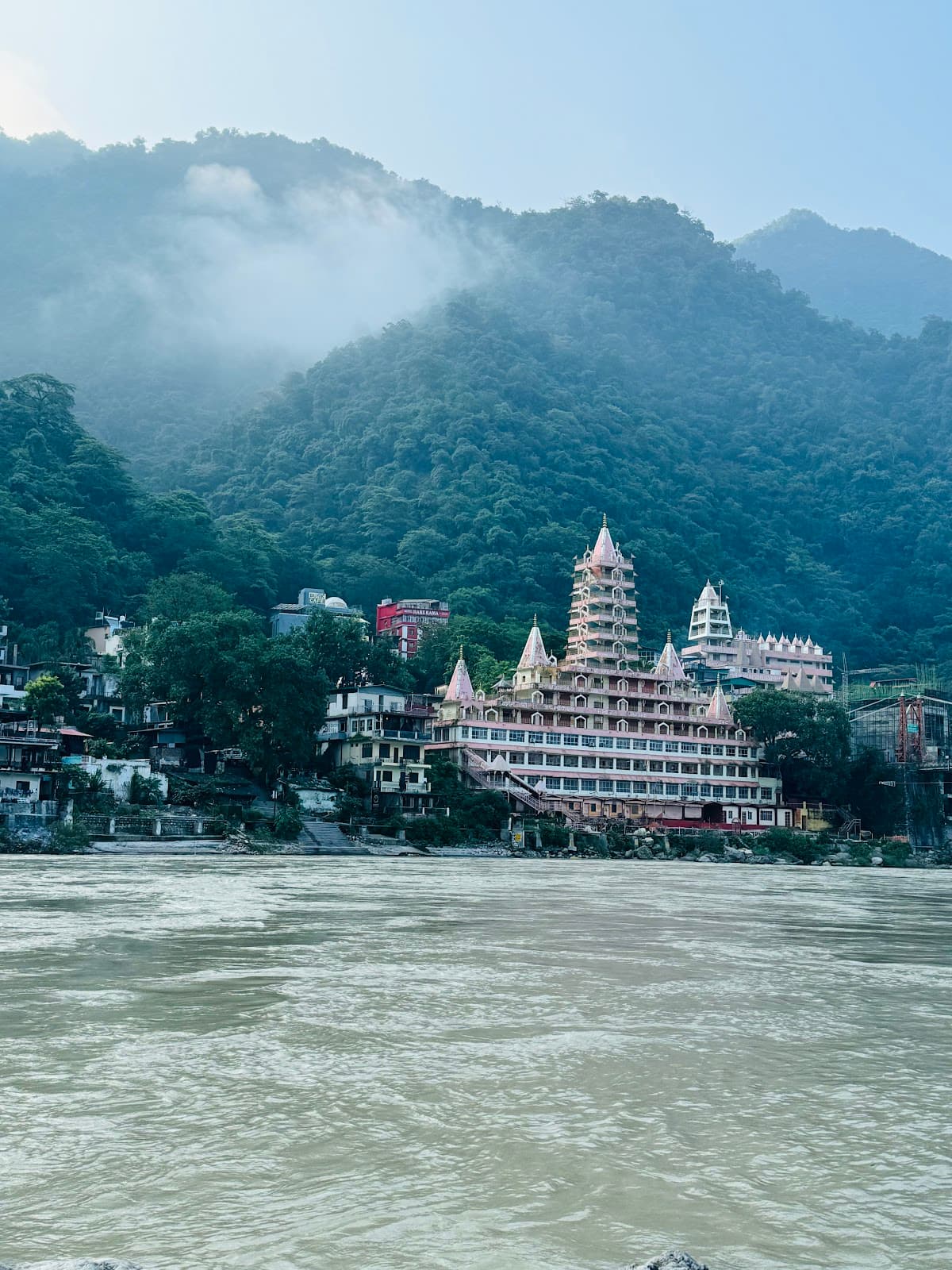 The Yoga Family India 🇮🇳