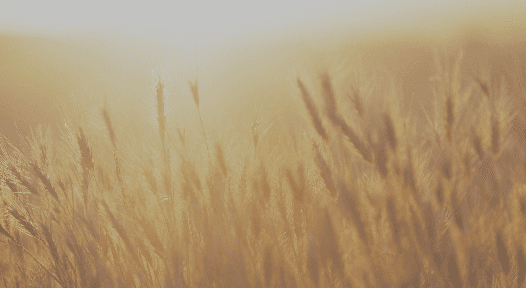 Happy Soul Mama - Birth & Postpartum Doula, Hypnobirthing & Yoga