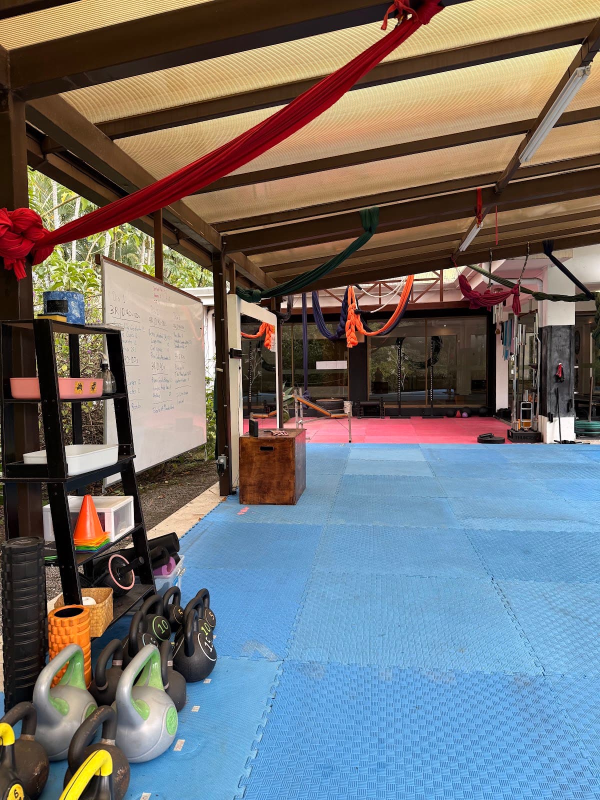 Asertiva Wellness House