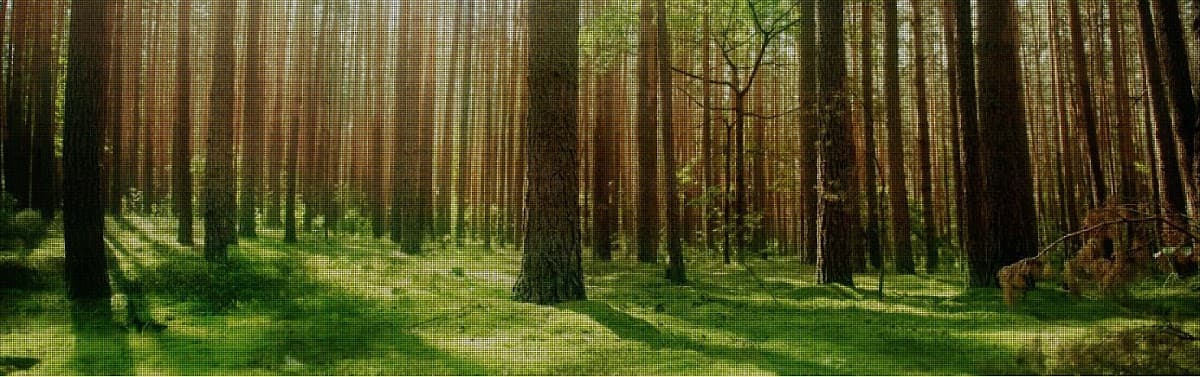 Pure Health And Wellness Clinic logo