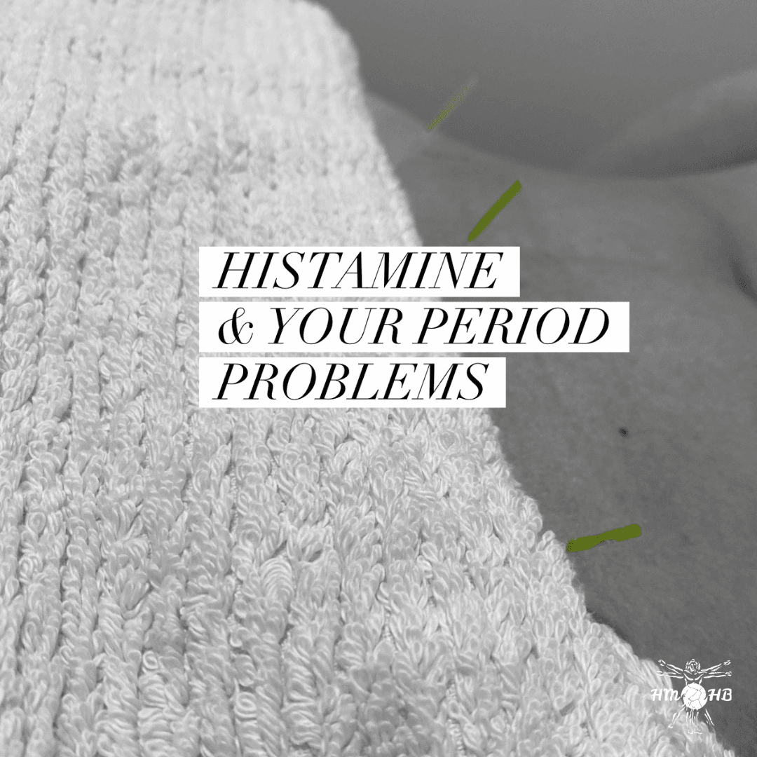 Holistic Minds Holistic Bodies logo