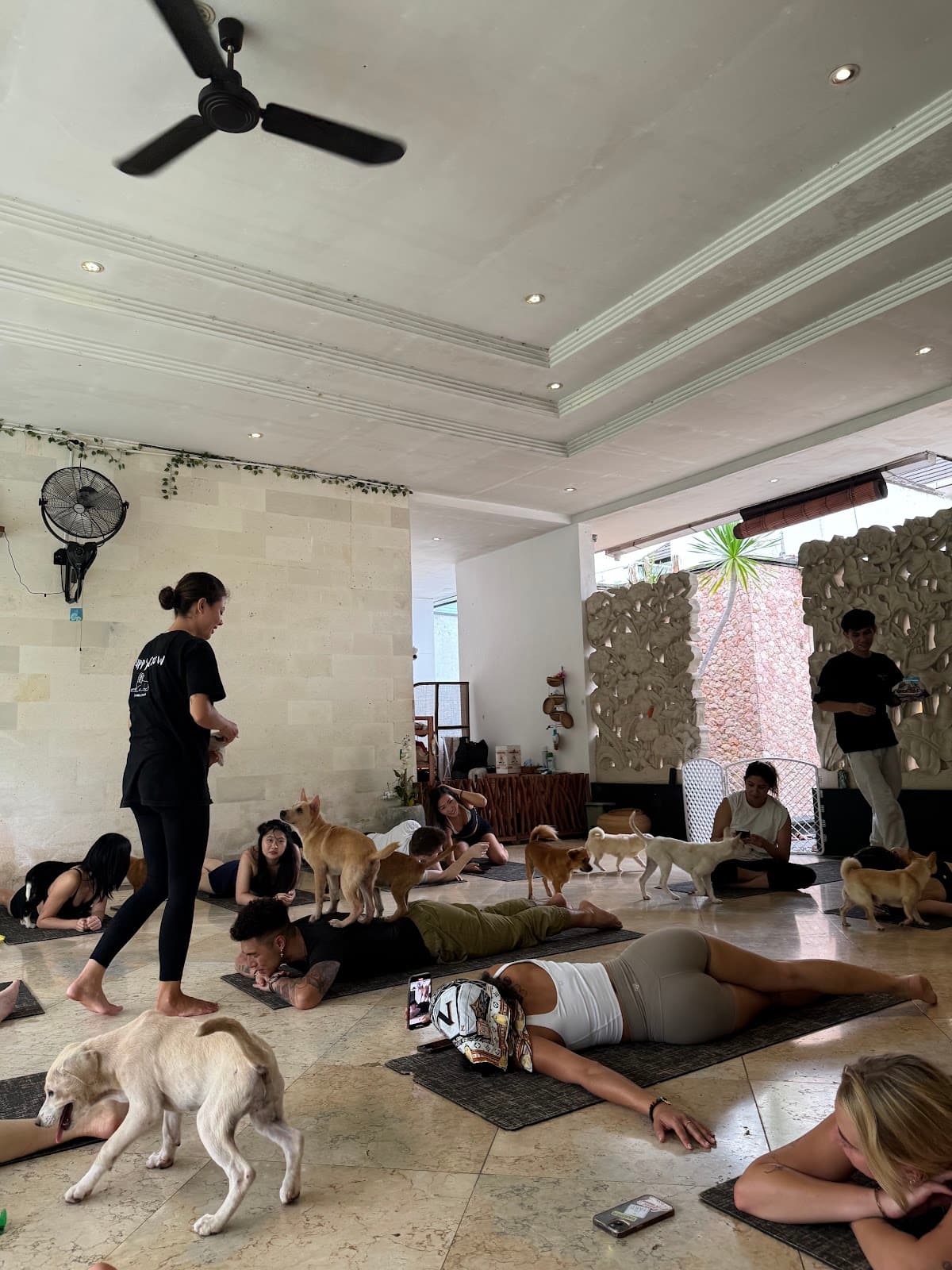 Puppy Yoga Bali