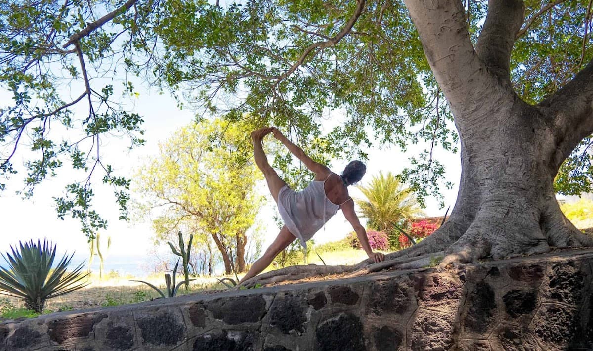 Cristina Libanori Iyengar Yoga & Ayurveda