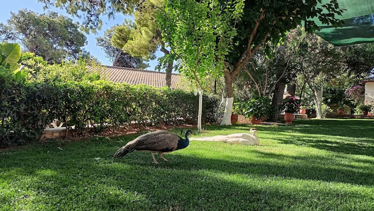 Satyanandashram Hellas