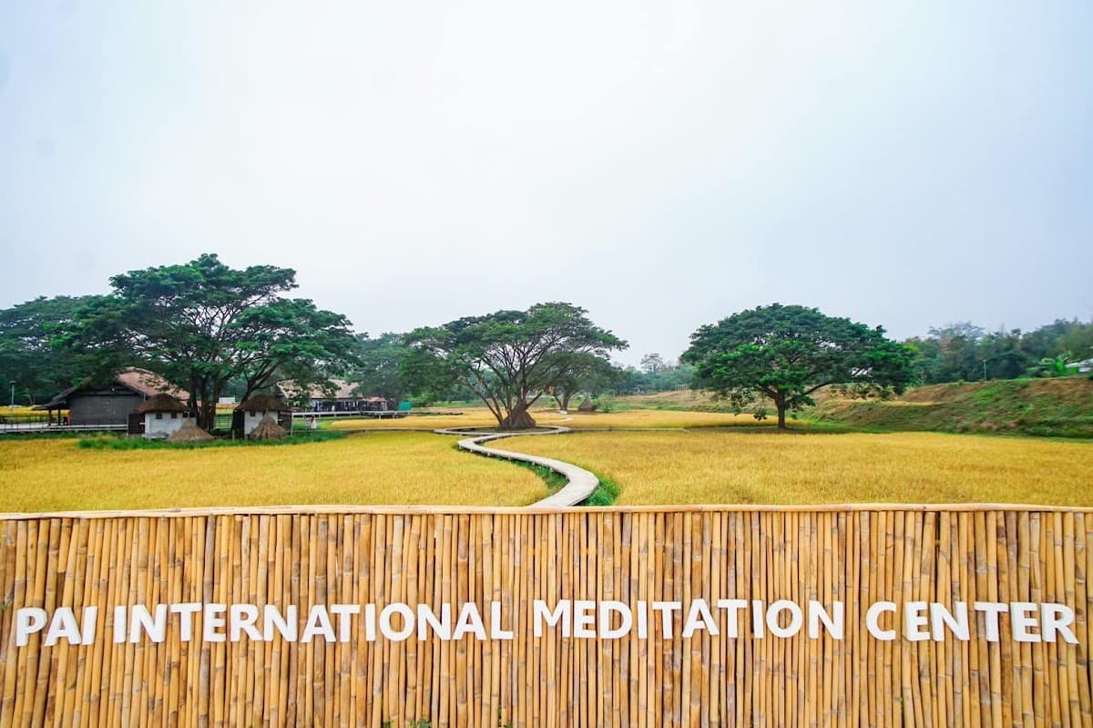 Pai International Meditation Center logo